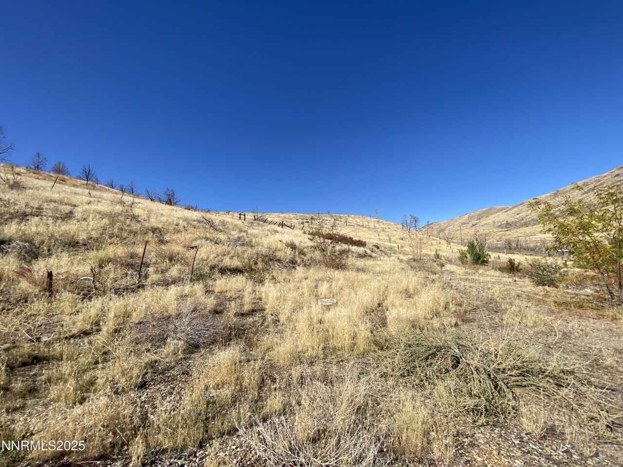 1155 S Us Highway 395, Gardnerville, NV 89410 Photo