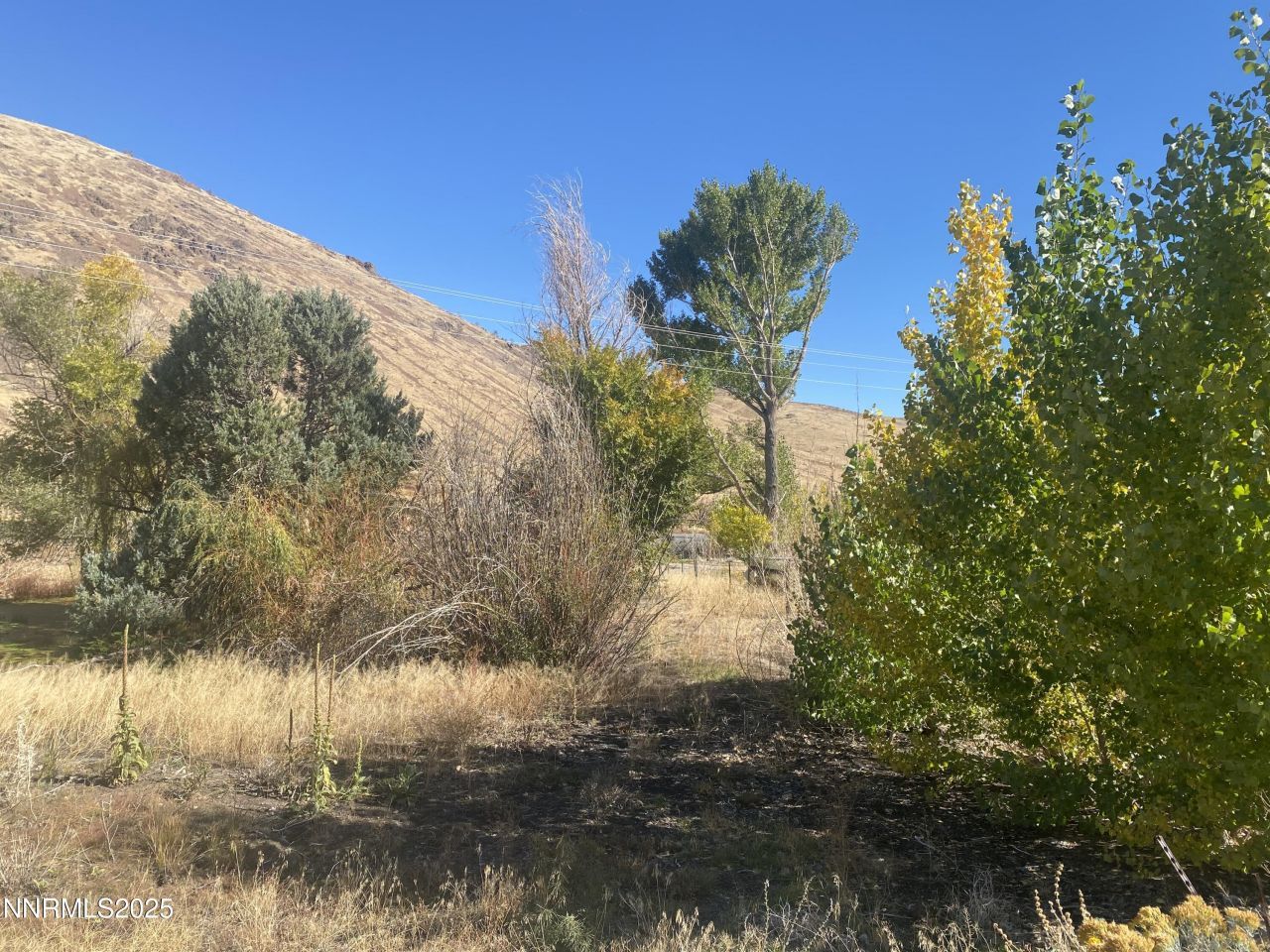 1155 S Us Highway 395, Gardnerville, NV 89410 Photo