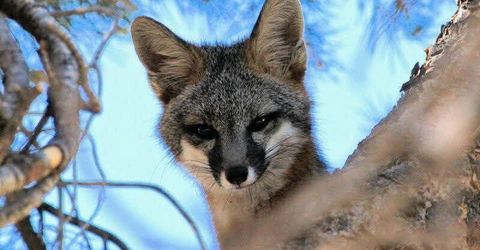 1155 S Us Highway 395, Gardnerville, NV 89410 Photo