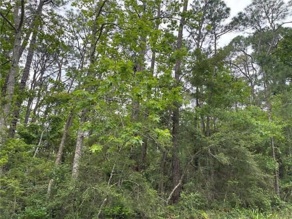 1105 Alabama Avenue , Dauphin Island, AL 36528