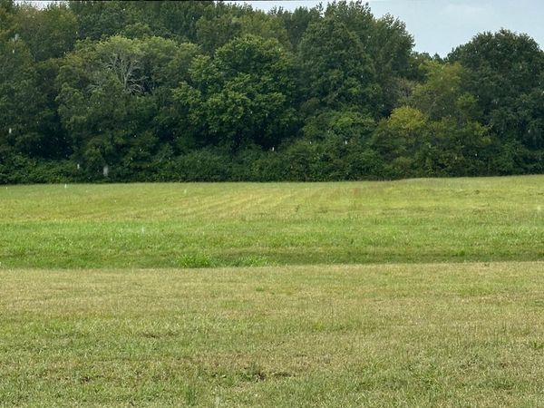 1507 Nella Drive, Athens, AL 35611