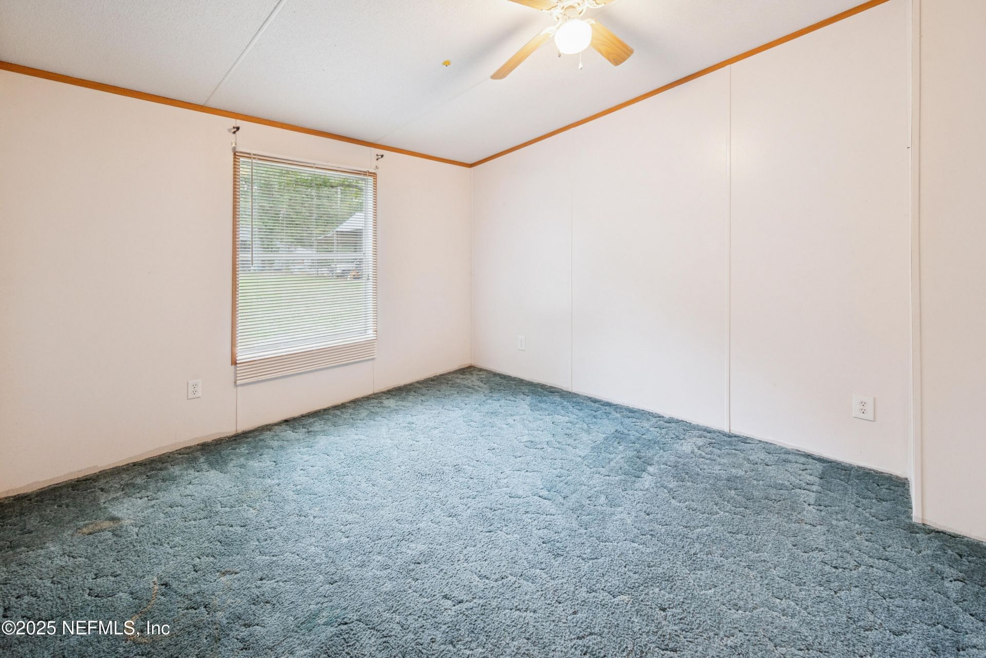 17824 NE 143 Terrace, Waldo, FL 32694 Photo