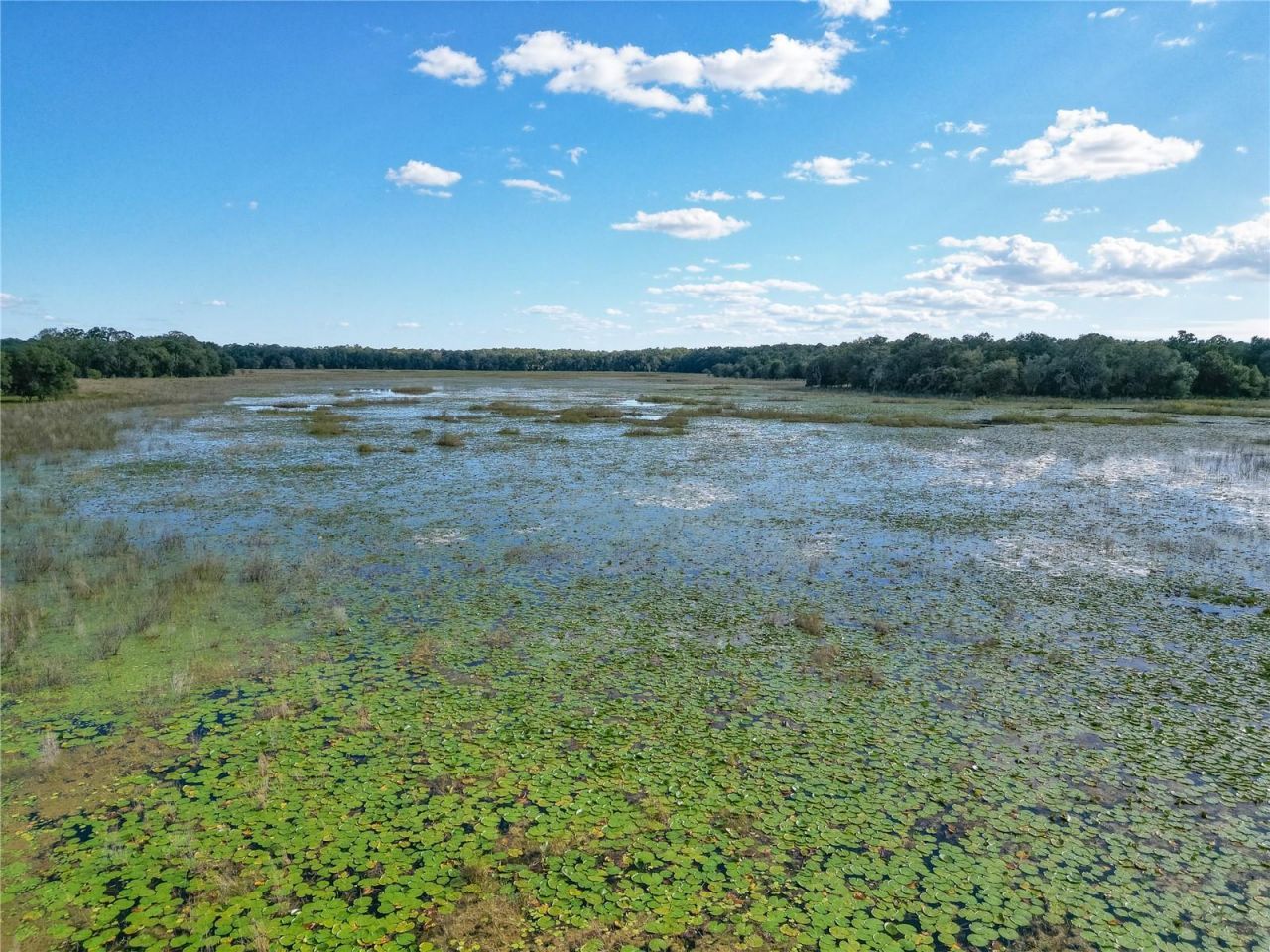 Tbd Cr 673, Webster, FL 33597 Photo