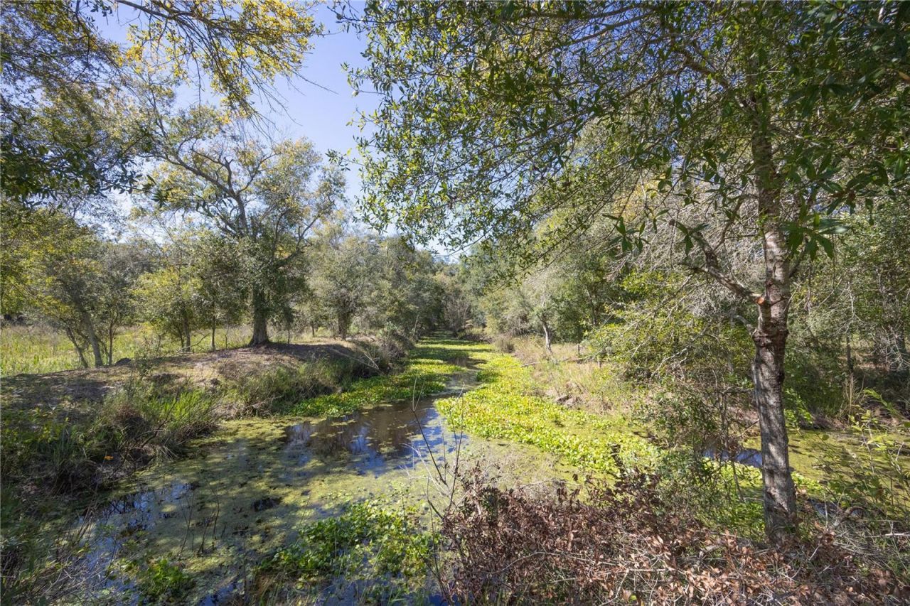 Tbd Cr 673, Webster, FL 33597 Photo