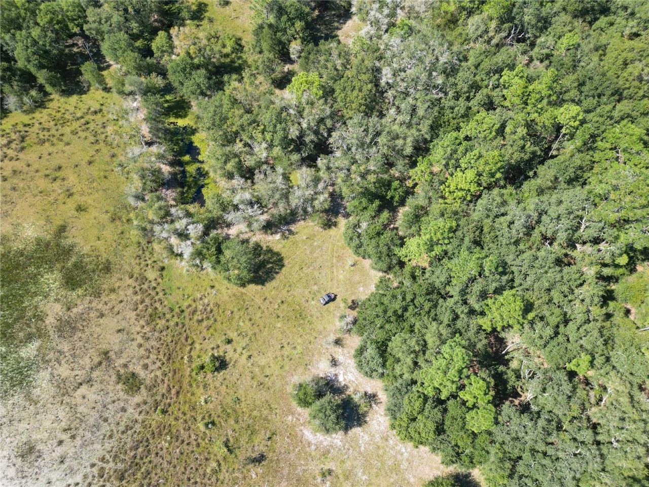 Tbd Cr 673, Webster, FL 33597 Photo