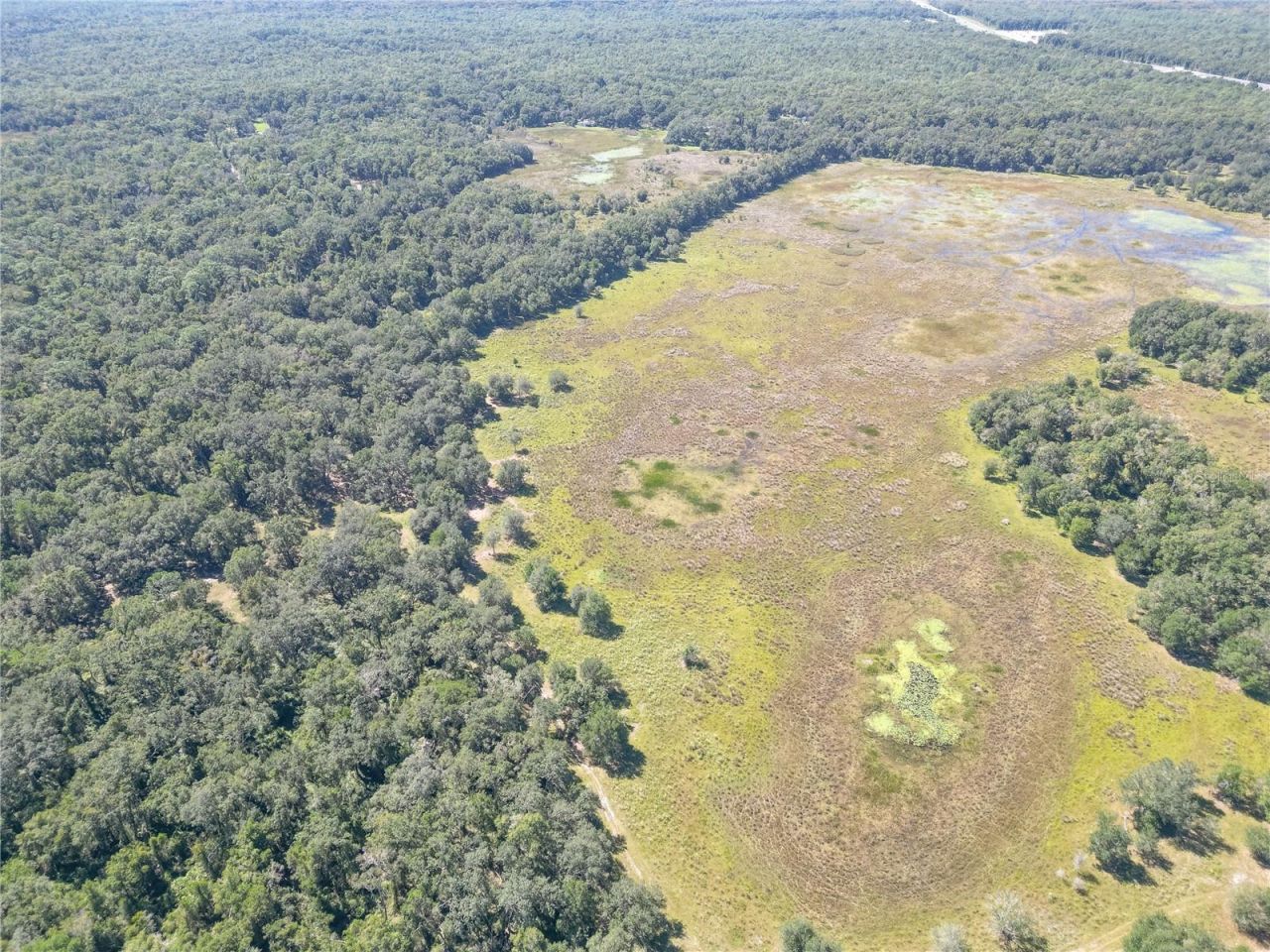 Tbd Cr 673, Webster, FL 33597 Photo