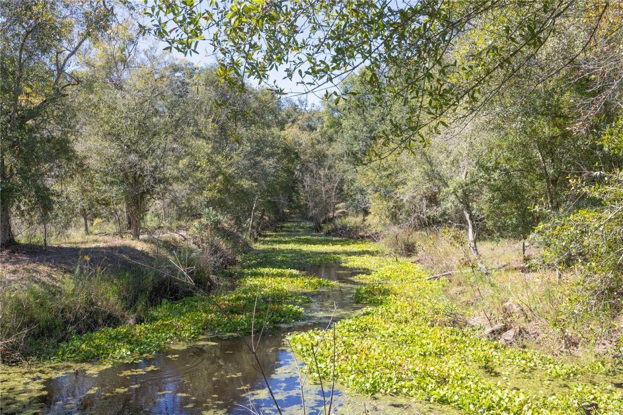 Tbd Cr 673, Webster, FL 33597 Photo