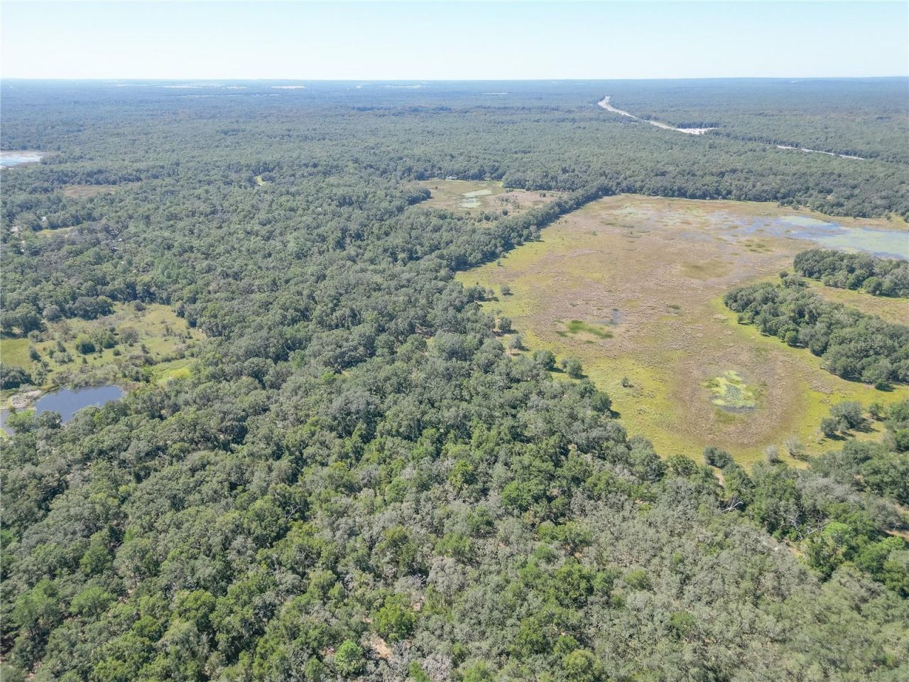 Tbd Cr 673, Webster, FL 33597 Photo