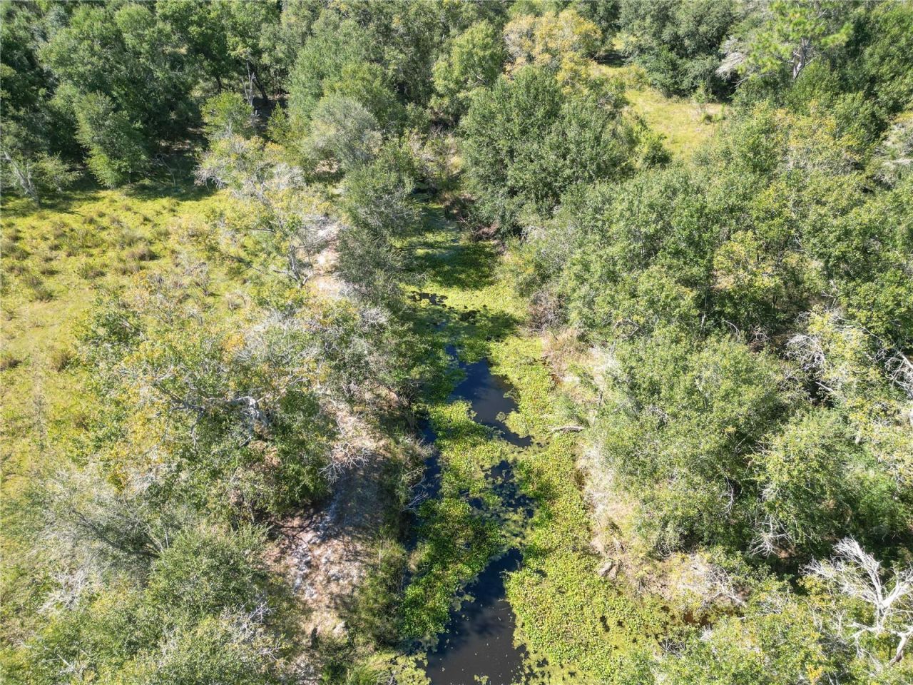 Tbd Cr 673, Webster, FL 33597 Photo