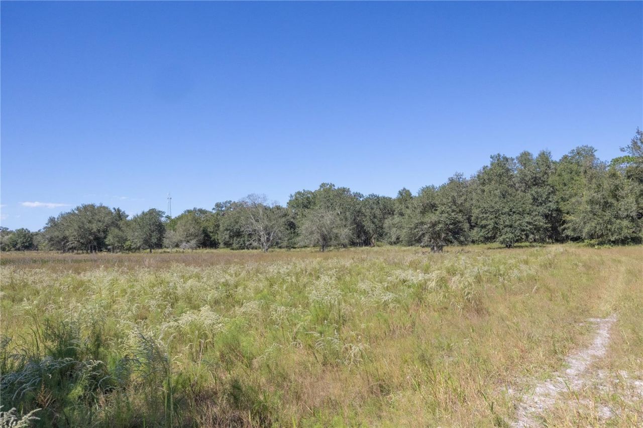 Tbd Cr 673, Webster, FL 33597 Photo