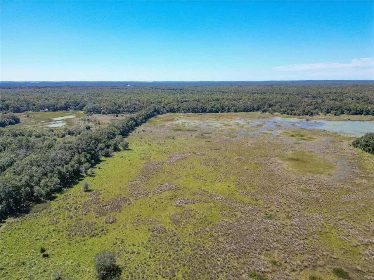 Tbd Cr 673, Webster, FL 33597 Photo