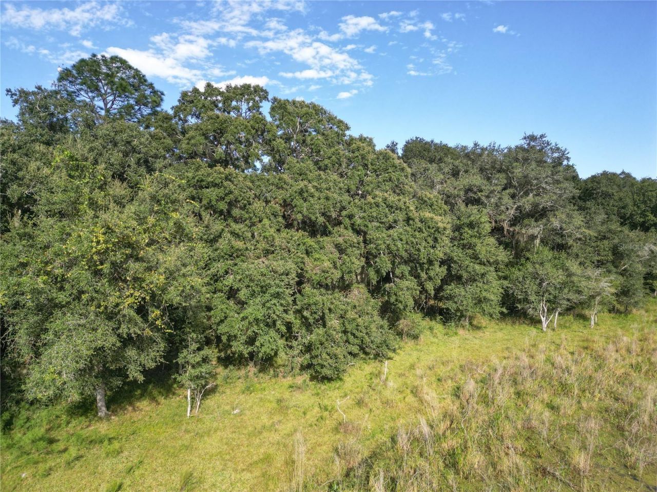 Tbd Cr 673, Webster, FL 33597 Photo