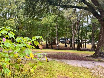 0 Catfish Court, Ridgeville, SC 29472