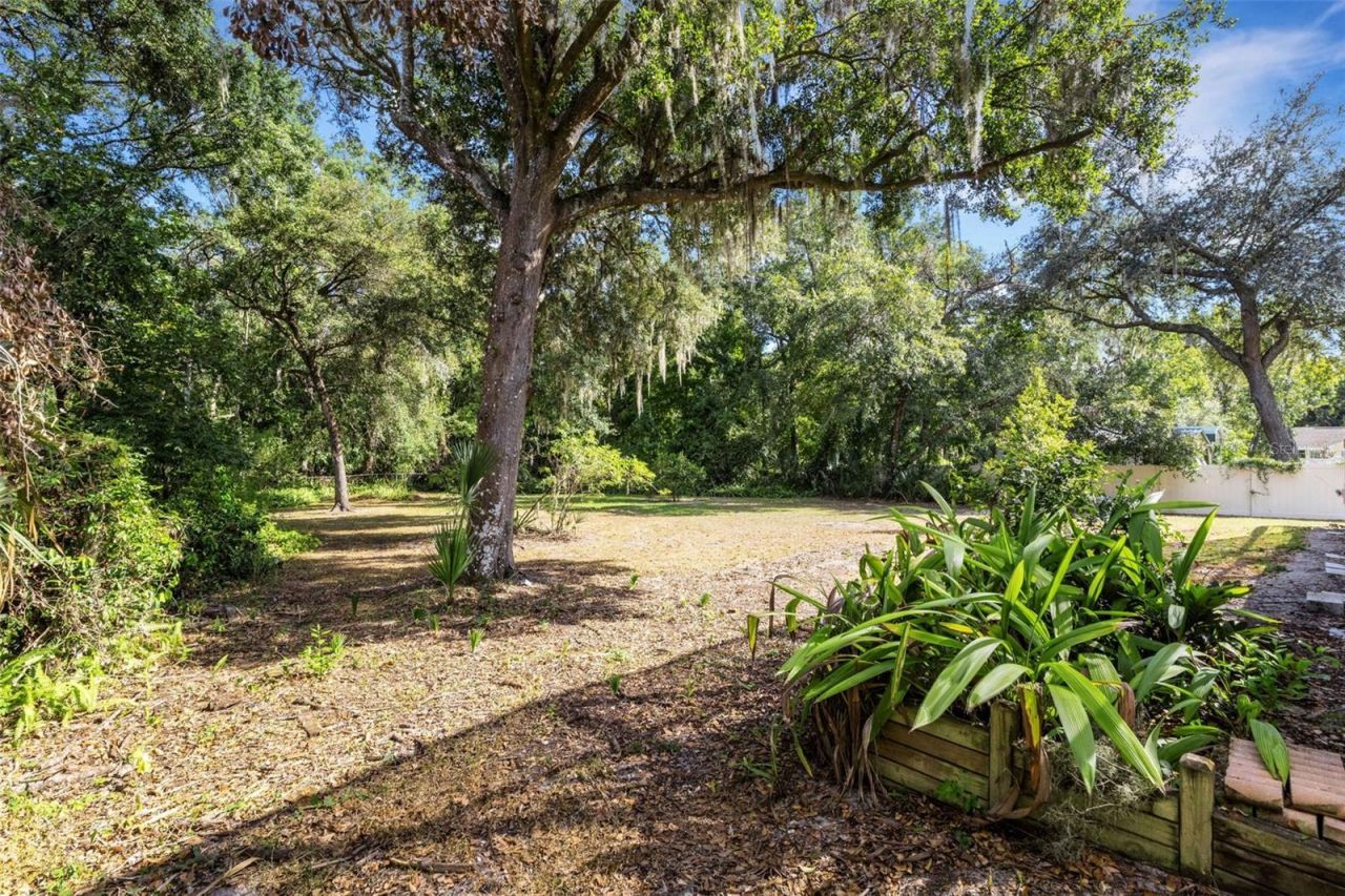 6602 Forestwood Drive W, Lakeland, FL 33811 Photo