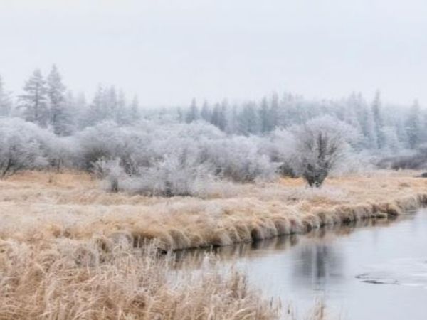 301xx 513th Avenue, Ottertail, MN 56571