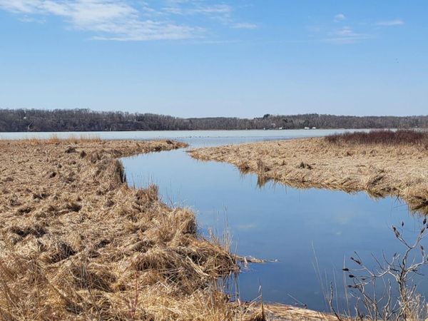 512xx Leaf River Road Tract A, Ottertail, MN 56571