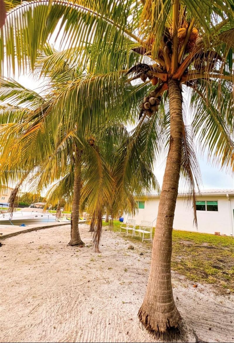 12388 N Bayshore Dr, Unit NA, North Miami, FL 33181 Photo