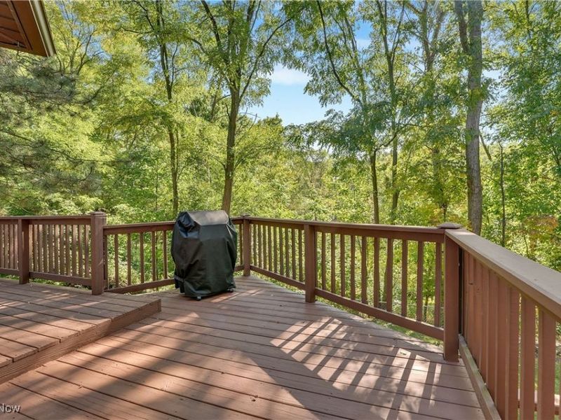 7495 Morley Road, Concord Township, OH 44060 Photo 31