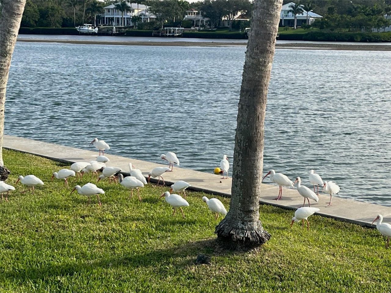 929 Casey Cove Drive, Nokomis, FL 34275 Photo