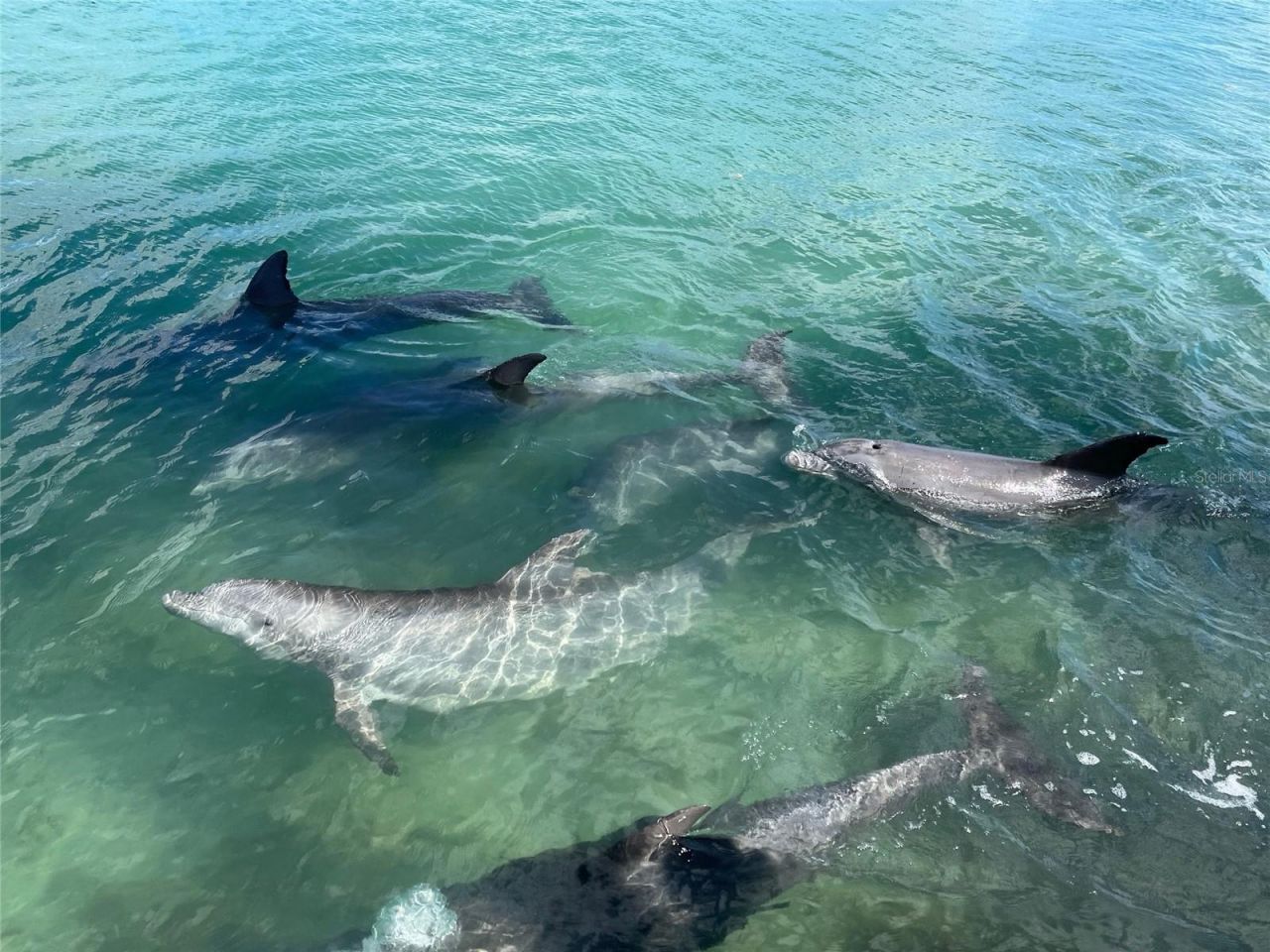 929 Casey Cove Drive, Nokomis, FL 34275 Photo