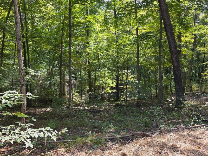 0 Tucker Road, Unit (Tract C a, New Straitsville, OH 43766 Photo 12