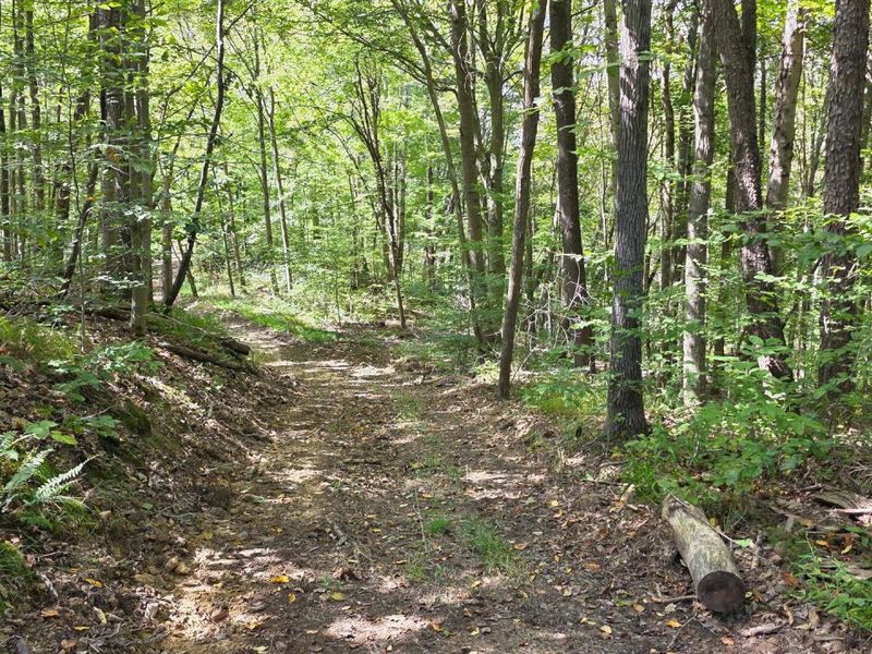 0 Tucker Road, Unit (Tract C a, New Straitsville, OH 43766 Photo 15