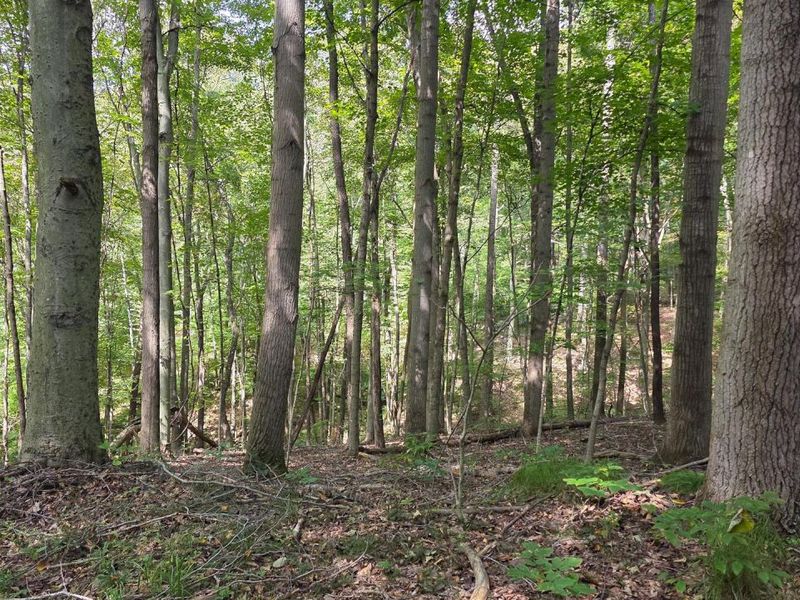 0 Tucker Road, Unit (Tract C a, New Straitsville, OH 43766 Photo 16