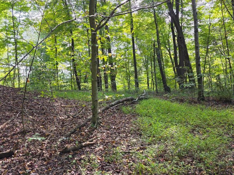 0 Tucker Road, Unit (Tract C a, New Straitsville, OH 43766 Photo 17