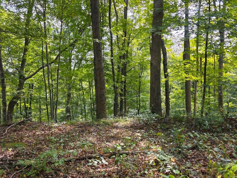 0 Tucker Road, Unit (Tract C a, New Straitsville, OH 43766 Photo 18