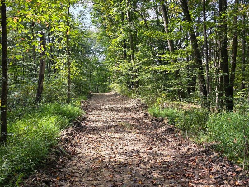 0 Tucker Road, Unit (Tract C a, New Straitsville, OH 43766 Photo 19