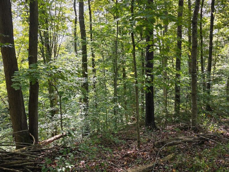 0 Tucker Road, Unit (Tract C a, New Straitsville, OH 43766 Photo 22