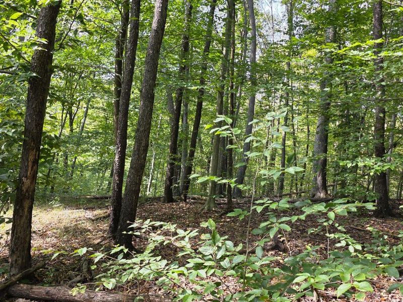 0 Tucker Road, Unit (Tract C a, New Straitsville, OH 43766 Photo 23