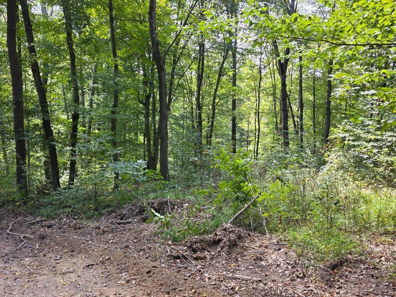 0 Tucker Road, Unit (Tract C a, New Straitsville, OH 43766 Photo 24