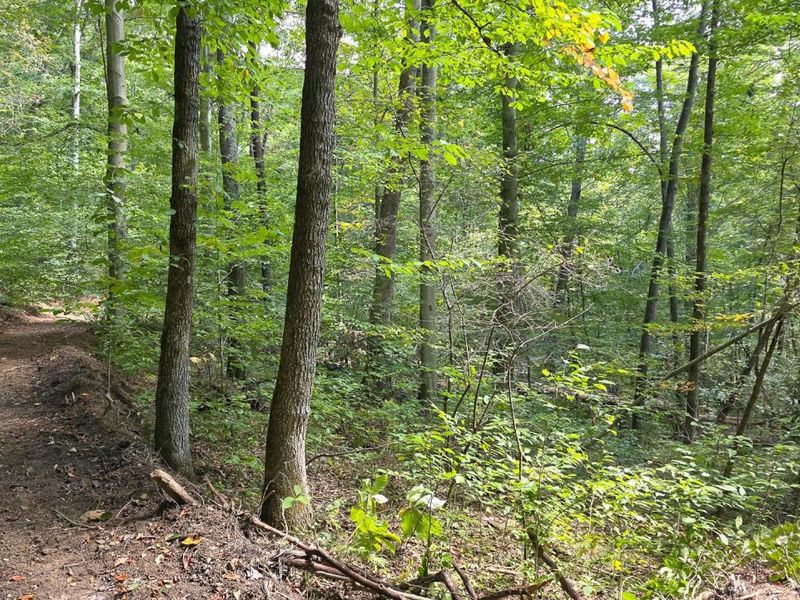 0 Tucker Road, Unit (Tract C a, New Straitsville, OH 43766 Photo 26