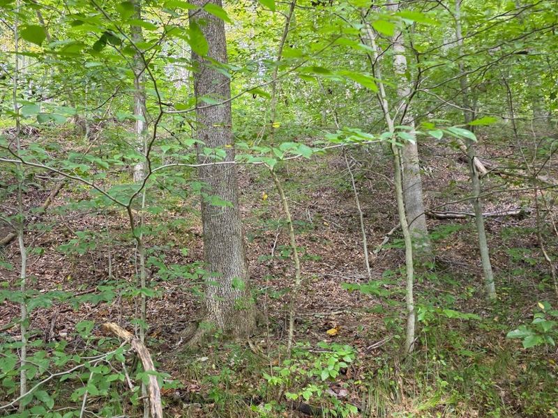 0 Tucker Road, Unit (Tract C a, New Straitsville, OH 43766 Photo 28