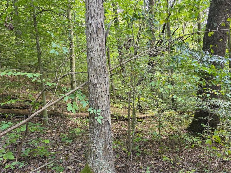 0 Tucker Road, Unit (Tract C a, New Straitsville, OH 43766 Photo 29