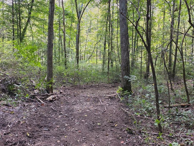 0 Tucker Road, Unit (Tract C a, New Straitsville, OH 43766 Photo 31