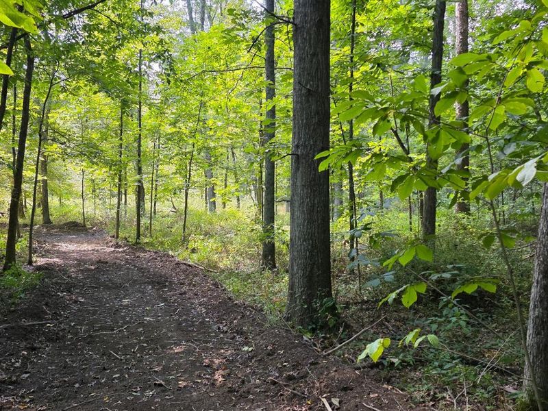 0 Tucker Road, Unit (Tract C a, New Straitsville, OH 43766 Photo 32