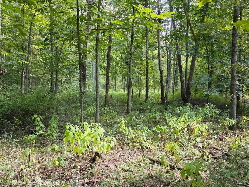 0 Tucker Road, Unit (Tract C a, New Straitsville, OH 43766 Photo 33