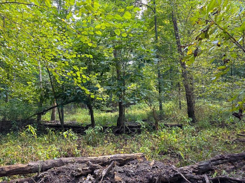 0 Tucker Road, Unit (Tract C a, New Straitsville, OH 43766 Photo 34