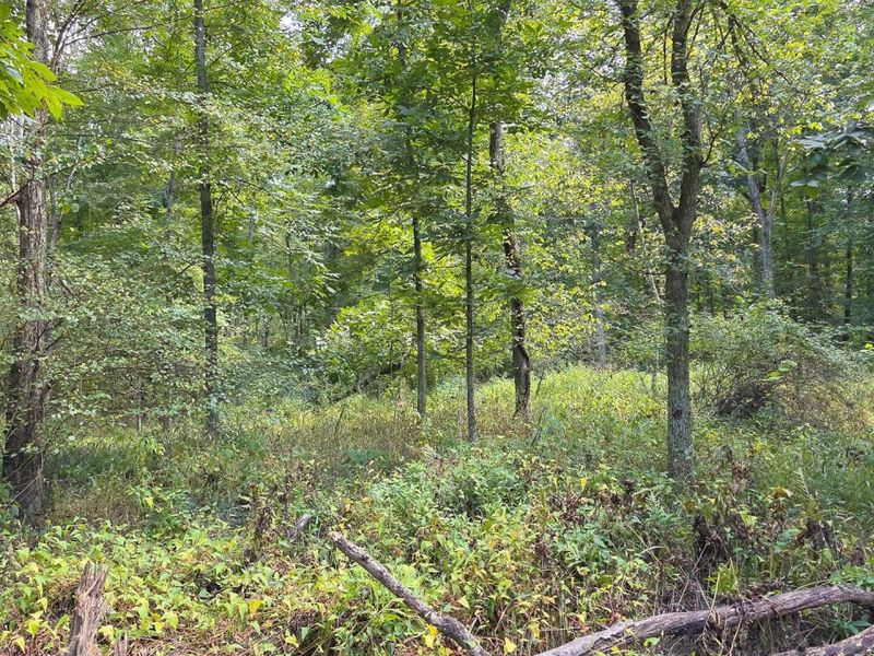 0 Tucker Road, Unit (Tract C a, New Straitsville, OH 43766 Photo 35