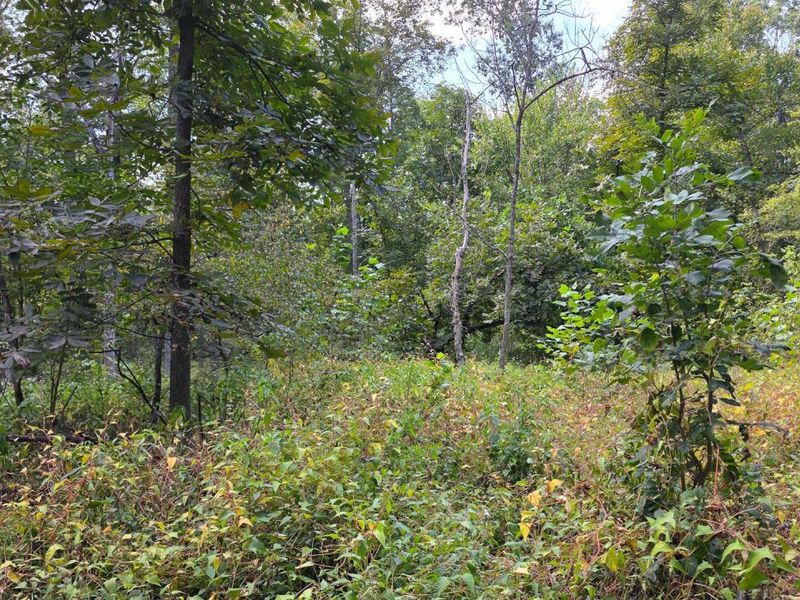 0 Tucker Road, Unit (Tract C a, New Straitsville, OH 43766 Photo 36