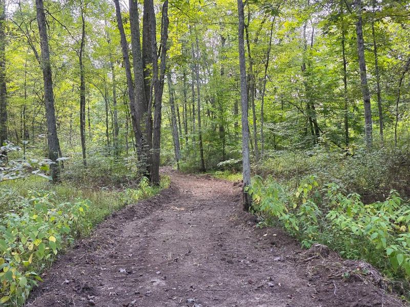 0 Tucker Road, Unit (Tract C a, New Straitsville, OH 43766 Photo 37