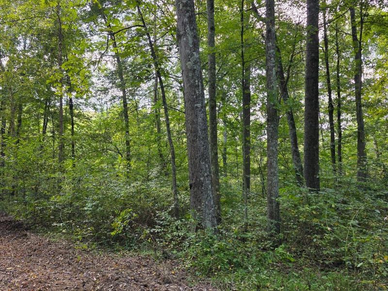 0 Tucker Road, Unit (Tract C a, New Straitsville, OH 43766 Photo 38