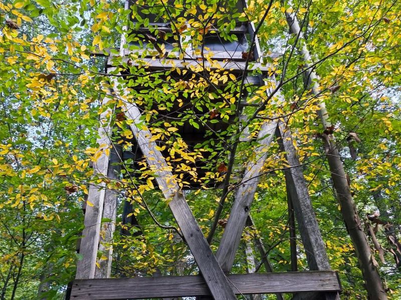 0 Tucker Road, Unit (Tract C a, New Straitsville, OH 43766 Photo 40