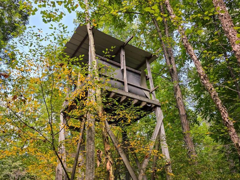 0 Tucker Road, Unit (Tract C a, New Straitsville, OH 43766 Photo 43