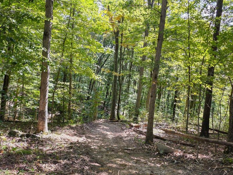 0 Tucker Road, Unit (Tract C a, New Straitsville, OH 43766 Photo 45