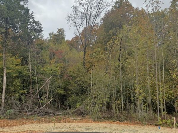 Lot 22 Deer Park , Scottsville, KY 42164