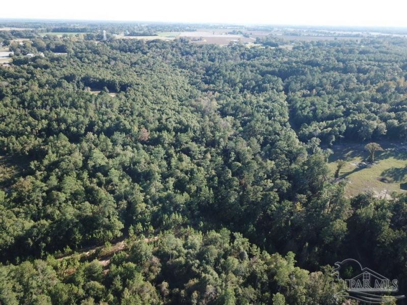 8+/- Acres Wiley Scott Rd, Jay, FL 32565 Main Photo