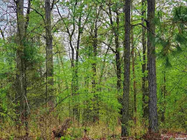 lot 770A PLUM HOLLOW, Hot Springs, AR 71913